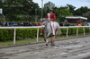 Immagine <b>REG_9230</b>